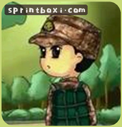 User