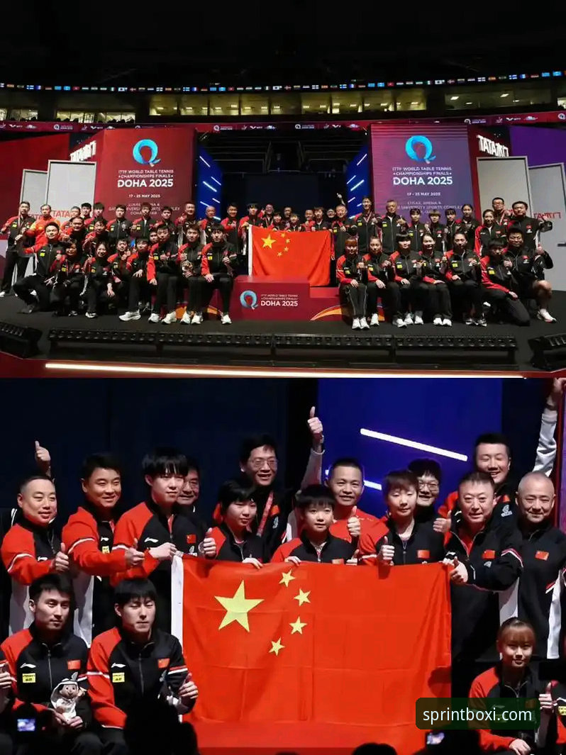 资深用户分享：看国乒男团世锦赛小组赛，博喜体育官方正版观赛体验